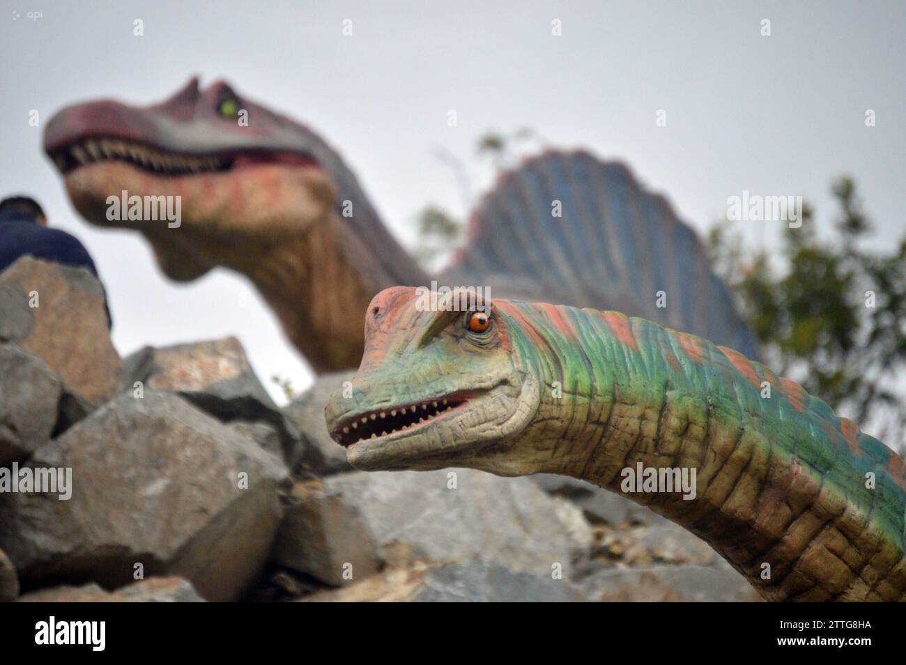 PAUTE-PARQUE JURASICO Cuenca,Ecuador 20 de diciembre de 2023 Paute, abrira sus puertas en el Barrio Pirincay en el canton Paute a turistas nacionales e internacionales. Este vierbes 22 de diciembre, 13 Dinosaurios robotizados actualmente estan colocados en un parque de 2 ha. Las figuras robots llegaron importadas desde China para recrear un parque jurasico en los alrededores del Barrio Pirincay, el mismo esta ubicado al Lado izquierdo de la Via Interoceanica que conduce a Paute. Las 13 Fuguras de Dinosaurios estan ubicadas en cinco terrazas, las cuales han sido construidas para resaltar Stockfoto