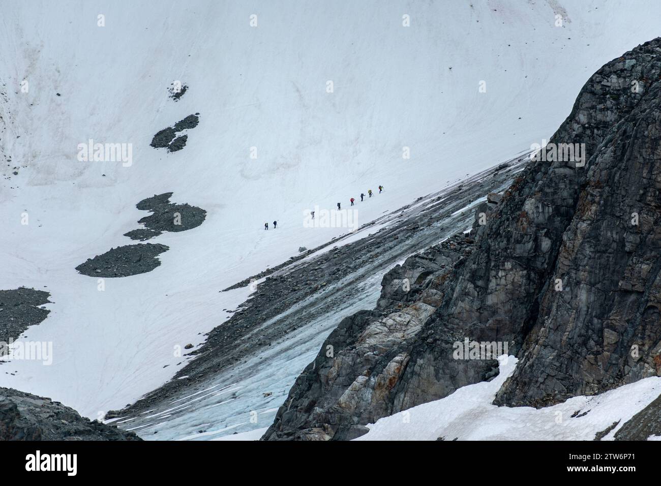Die Silhouette des riesigen weiß zieht sich eine Gruppe durch die eisige Weite des Wedgemount. Stockfoto