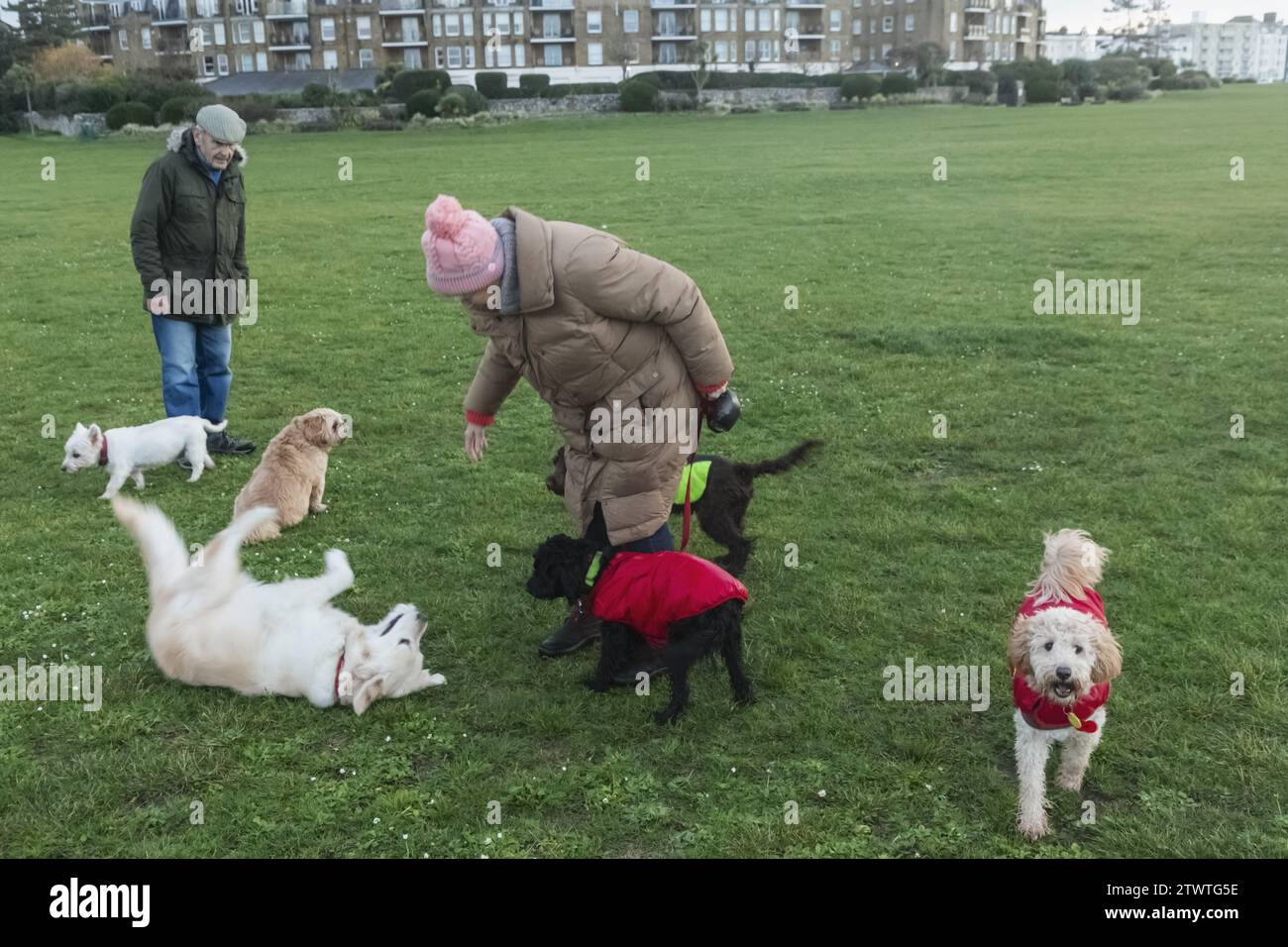 England, West Sussex, Littlehampton, Ältere Dog Walkers Stockfoto