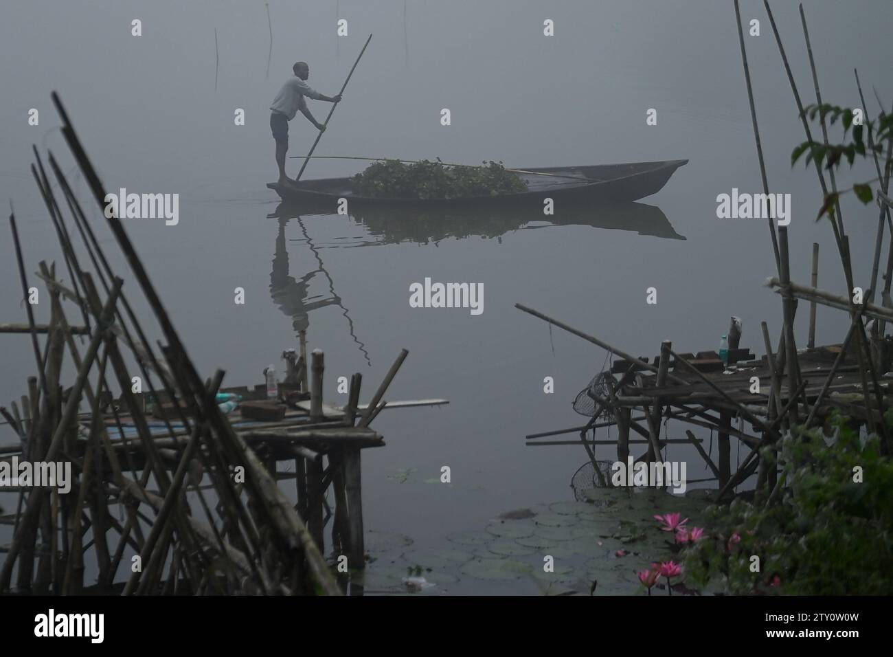 Ein Arbeiter sammelt Plankton an einem nebeligen Morgen am MBB College Lake in Agartala. Tripura, Indien. Stockfoto