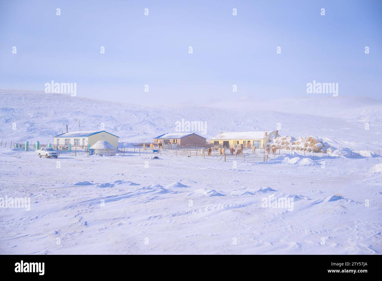 Xilingol. Dezember 2023. Dieses am 20. Dezember 2023 aufgenommene Foto zeigt Residenzen auf dem Grasland im West Ujimqin Banner der Xilingol League, der autonomen Region der Inneren Mongolei im Norden Chinas. Quelle: Peng Yuan/Xinhua/Alamy Live News Stockfoto