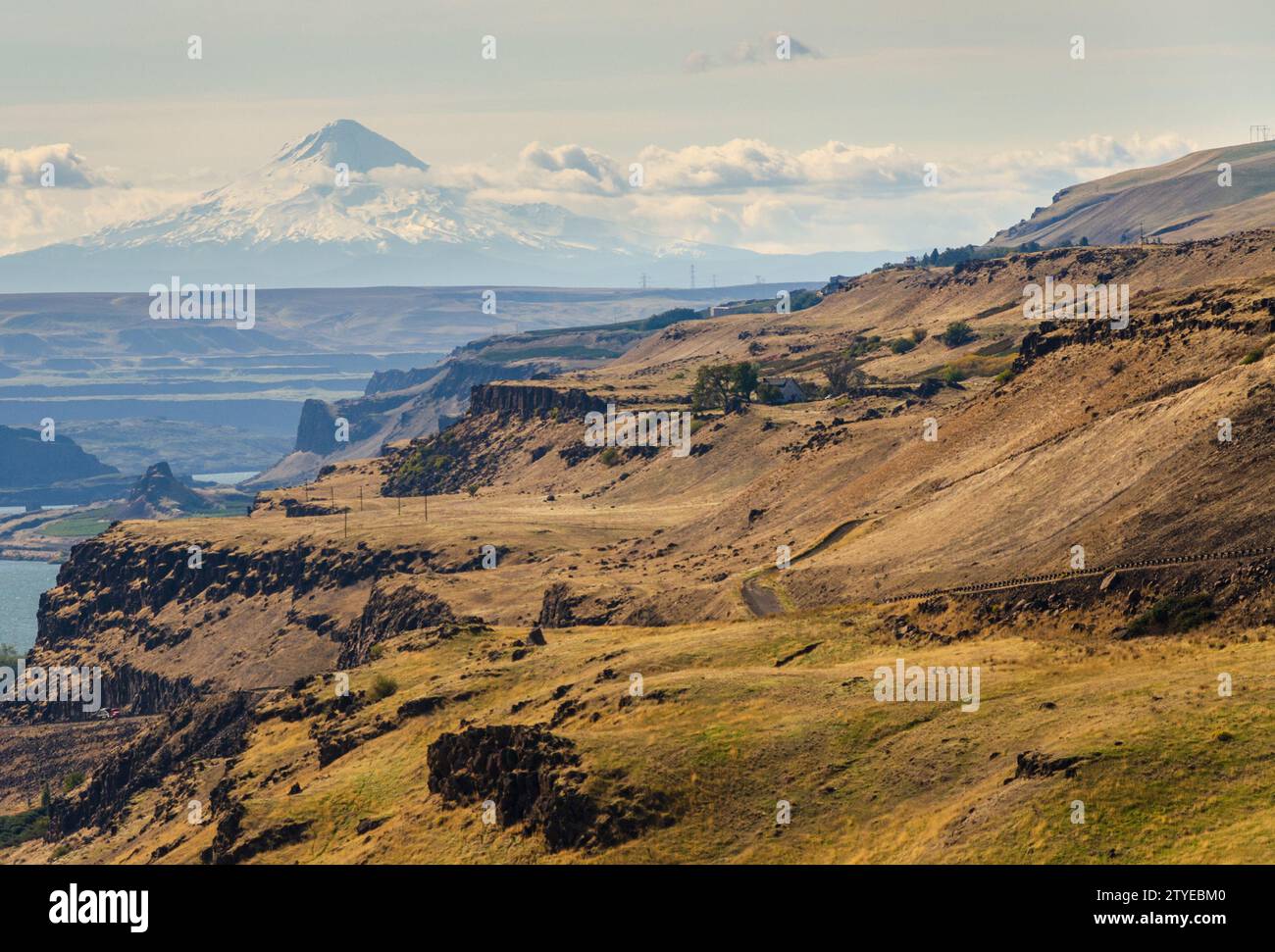 Der Mount Hood National Forest in Oregon Stockfoto