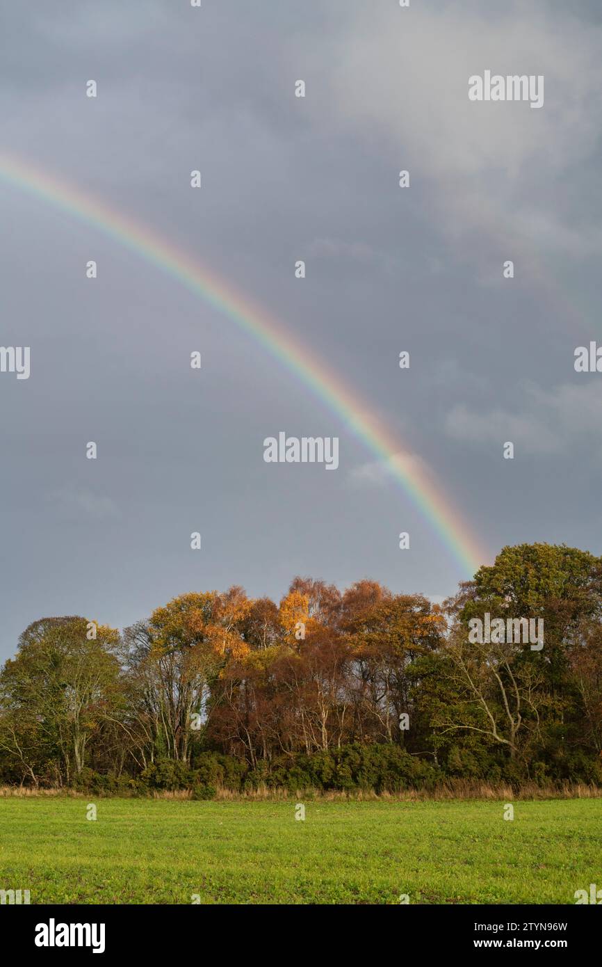 Regenbogen am dunklen Himmel in Bogmoor, Morayshire, Schottland Stockfoto