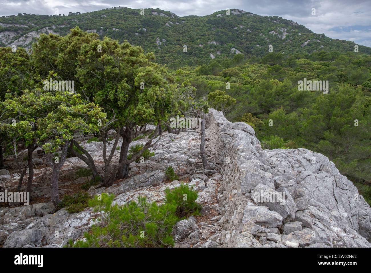 muro tradicional de piedra - Pedre en sec - Fita del RAM, Esporles, Paraje natural de la Serra de Tramuntana, Mallorca, balearen, Spanien Stockfoto