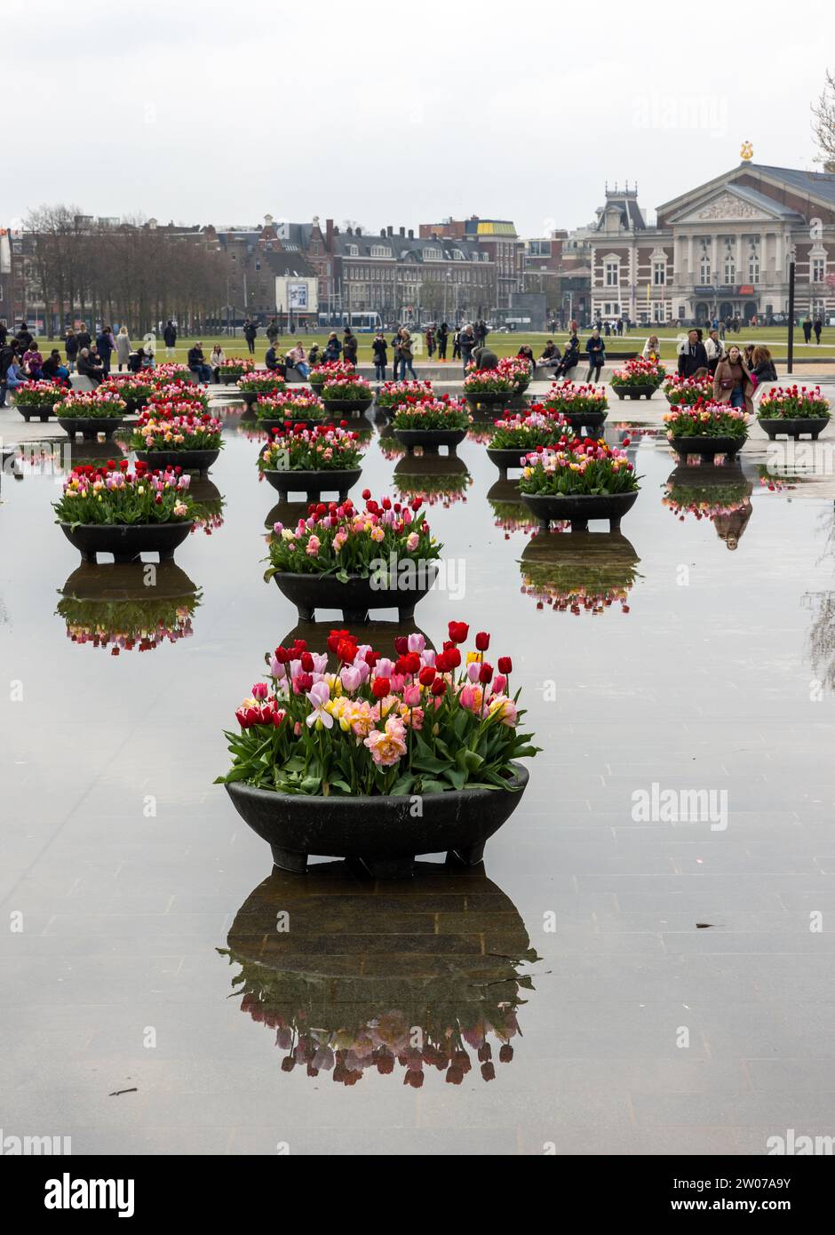 Amsterdam, Niederlande - 21. April 2023: Bunte Tulpenblüten im Teich vor dem Rijksmuseum in Amsterdam. Niederlande Stockfoto