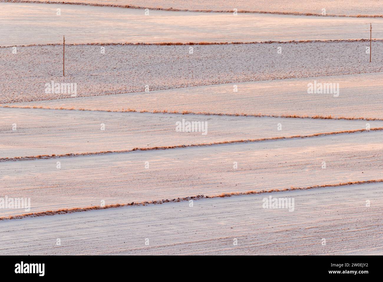Verschneite Felder auf dem Land Stockfoto