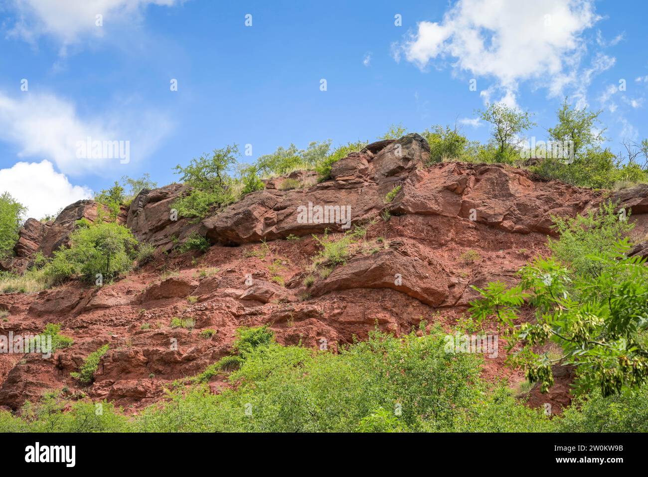 Roter Sandstein nahe Wettin, Sachsen-Anhalt, Deutschland Stockfoto