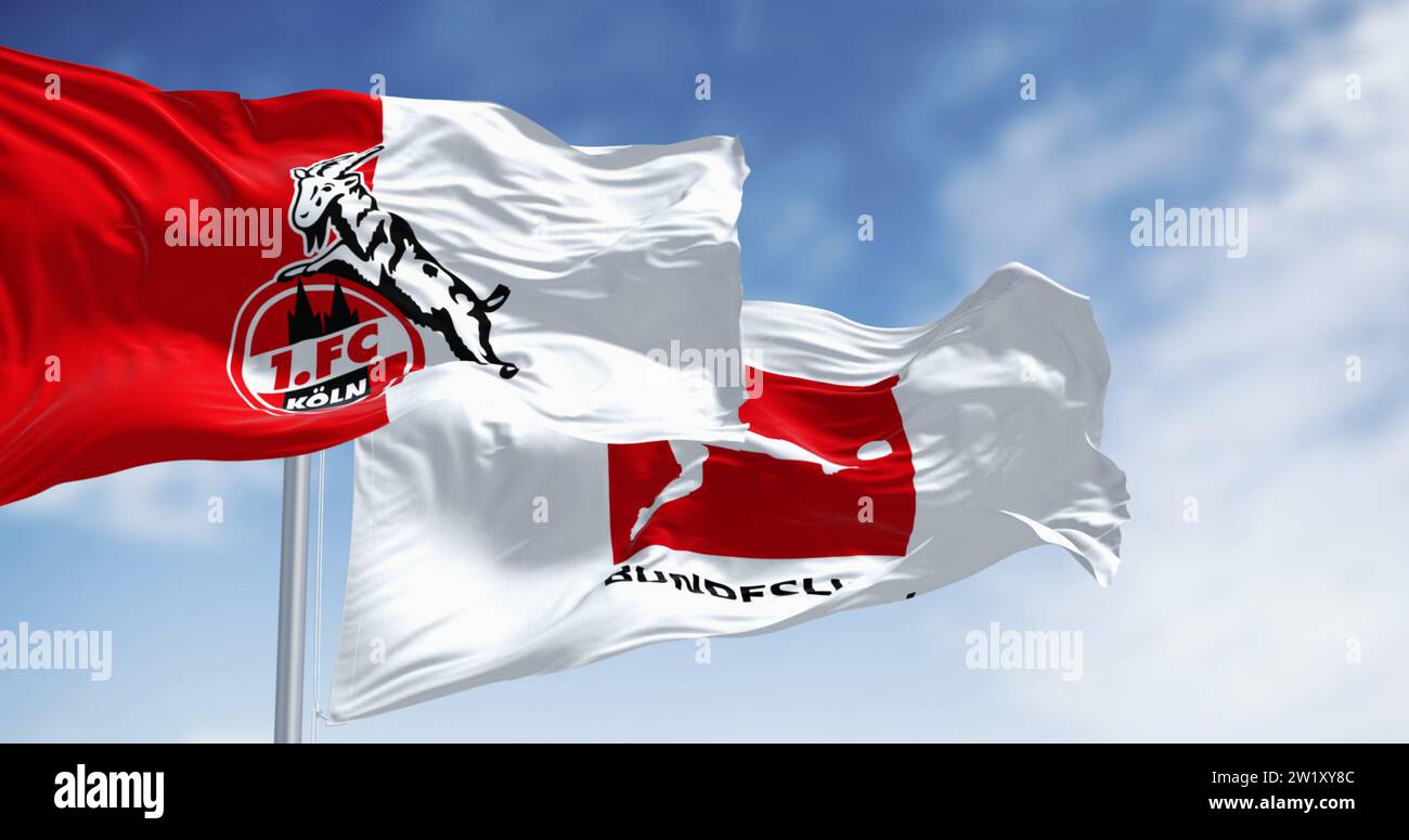 Köln, DE, 10. Oktober 2023: FC Köln-Flagge winkt mit Bundesliga-Flagge an einem klaren Tag. Professioneller deutscher Fußballverein. Illustratives Editorial 3d il Stockfoto