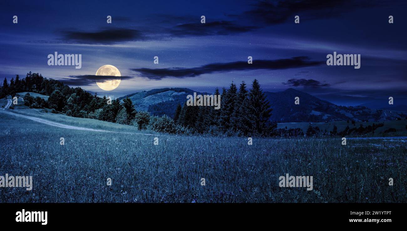 Nadelwald auf einem Hügel in der Nähe des Weges durch die Wiese in bergiger ländlicher Landschaft bei Nacht. Wunderschöne Landschaft, Sommerlandschaft in voller Moo Stockfoto