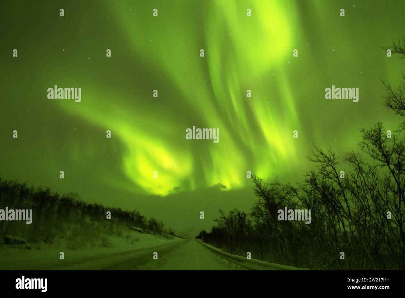 Wunderschöne aurora Borealis Nordlichter tanzen über stille Straße Stockfoto