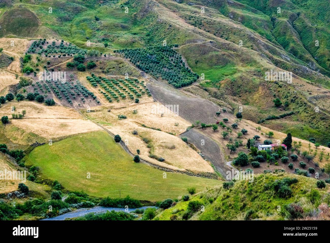 Blick aus der Vogelperspektive auf die landwirtschaftliche Landschaft rund um Pentidattilo mit Feldern, Obstgärten und bewaldeten Hügeln. Stockfoto