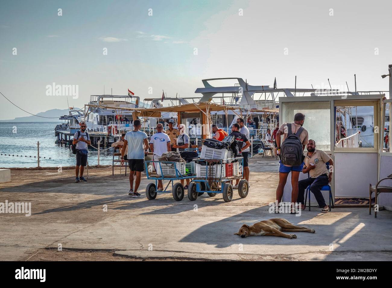 Tauchboote, Marina, Sharks Bay, Scharm El-Scheich, Sinai, Ägypten Stockfoto