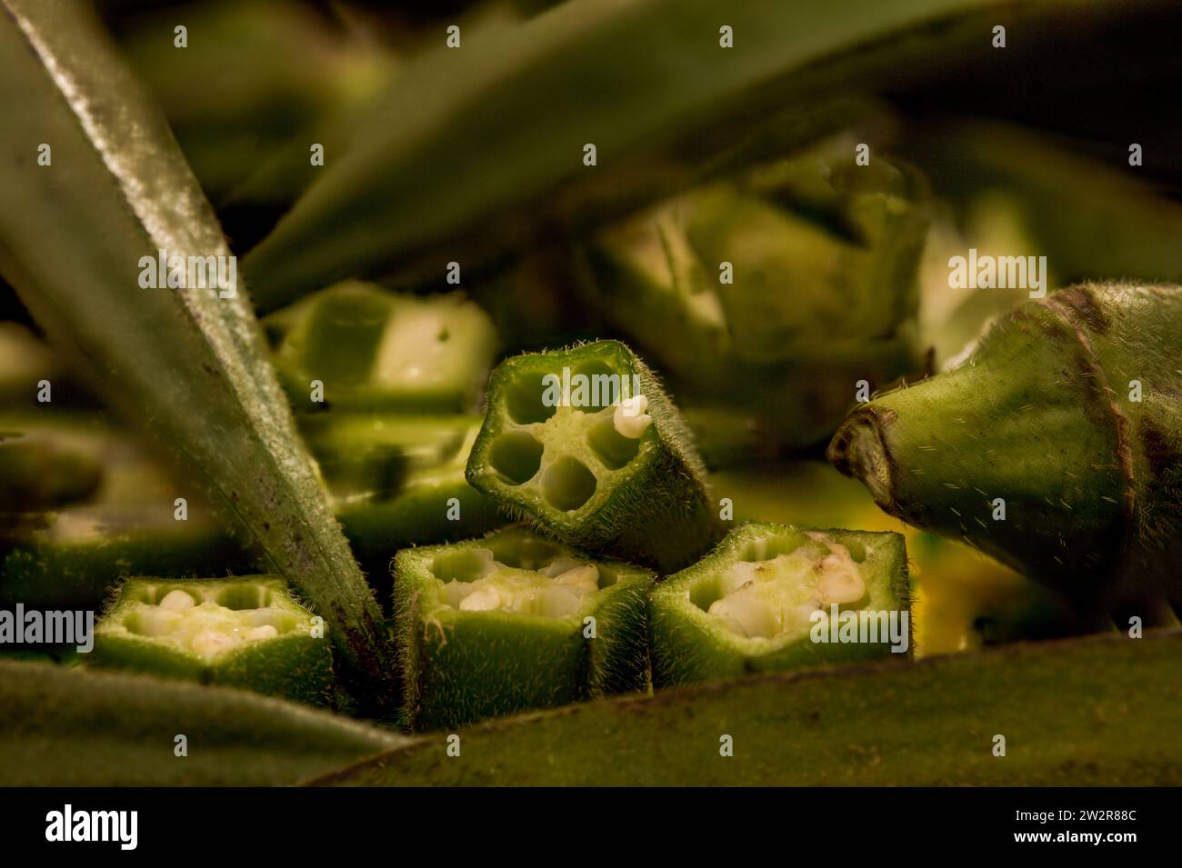 Sehr nah, Makro, hochauflösende exotische Lebensmittel Stillleben von köstlichem Okra (Damen Finger) Stockfoto