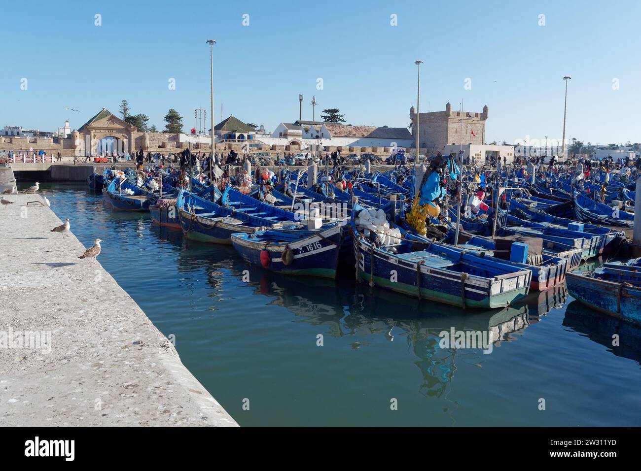 Blaue Fischerboote am Hafen mit Festung dahinter in Essaouira, der „windigen Stadt“, Marokko. Dezember 2023 Stockfoto