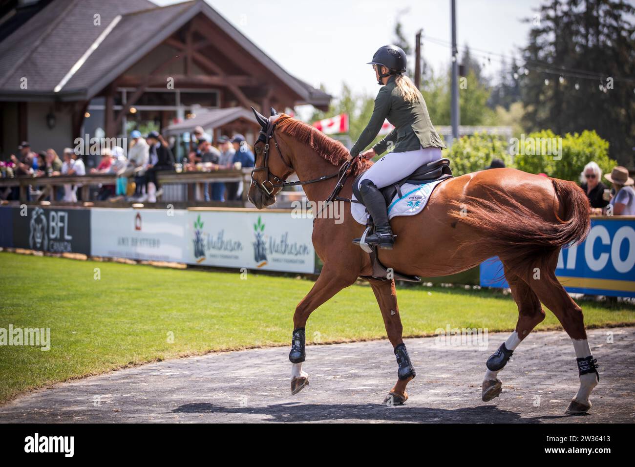 Jaydan Stettner aus Kanada tritt 2023 bei der Canadian Premier Horse Show im Thunderbird Show Park in Langley an. Stockfoto