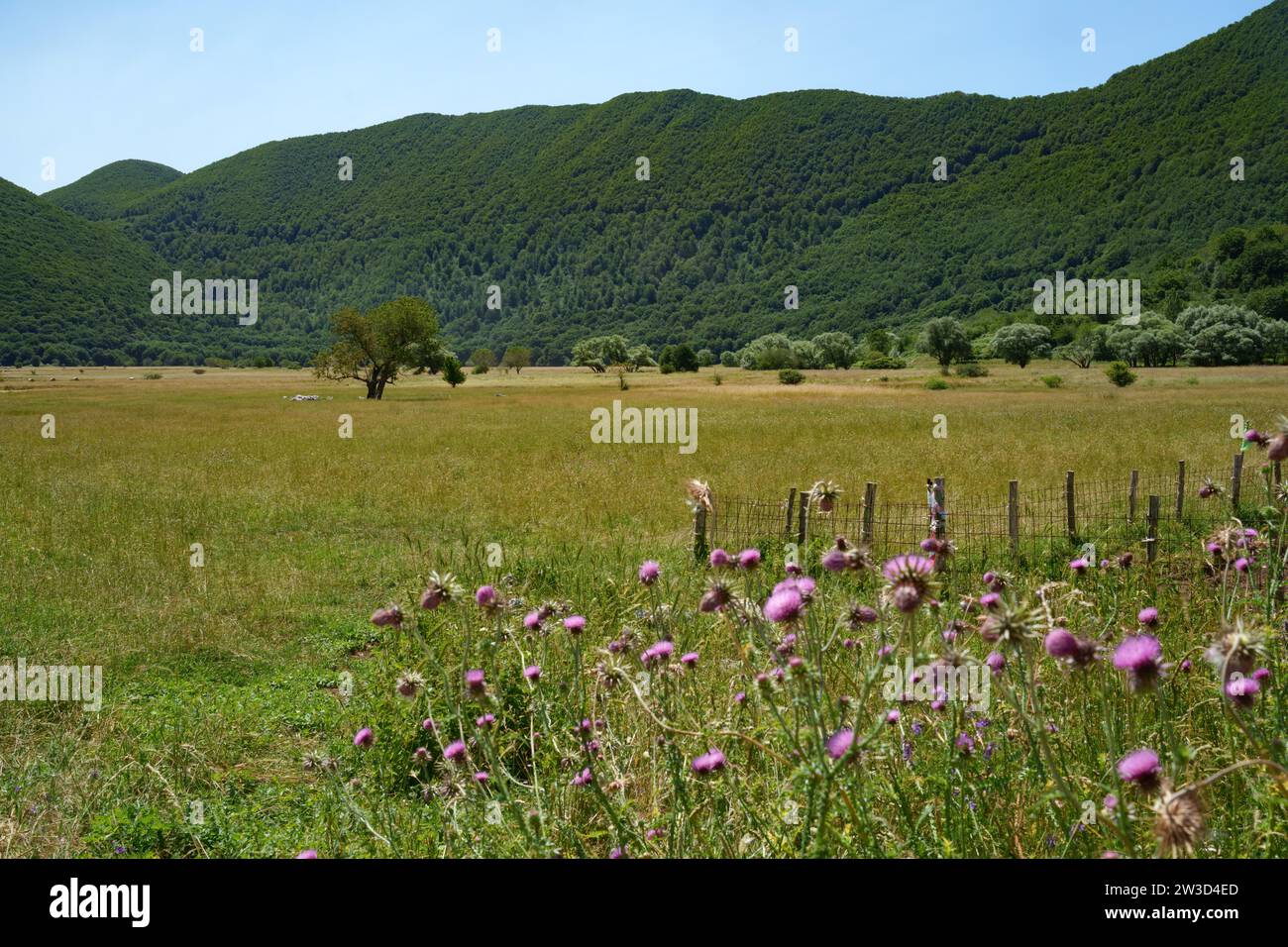 Berglandschaft von Matese, Provinz Caserta, Kampanien, Italien, im Sommer Stockfoto
