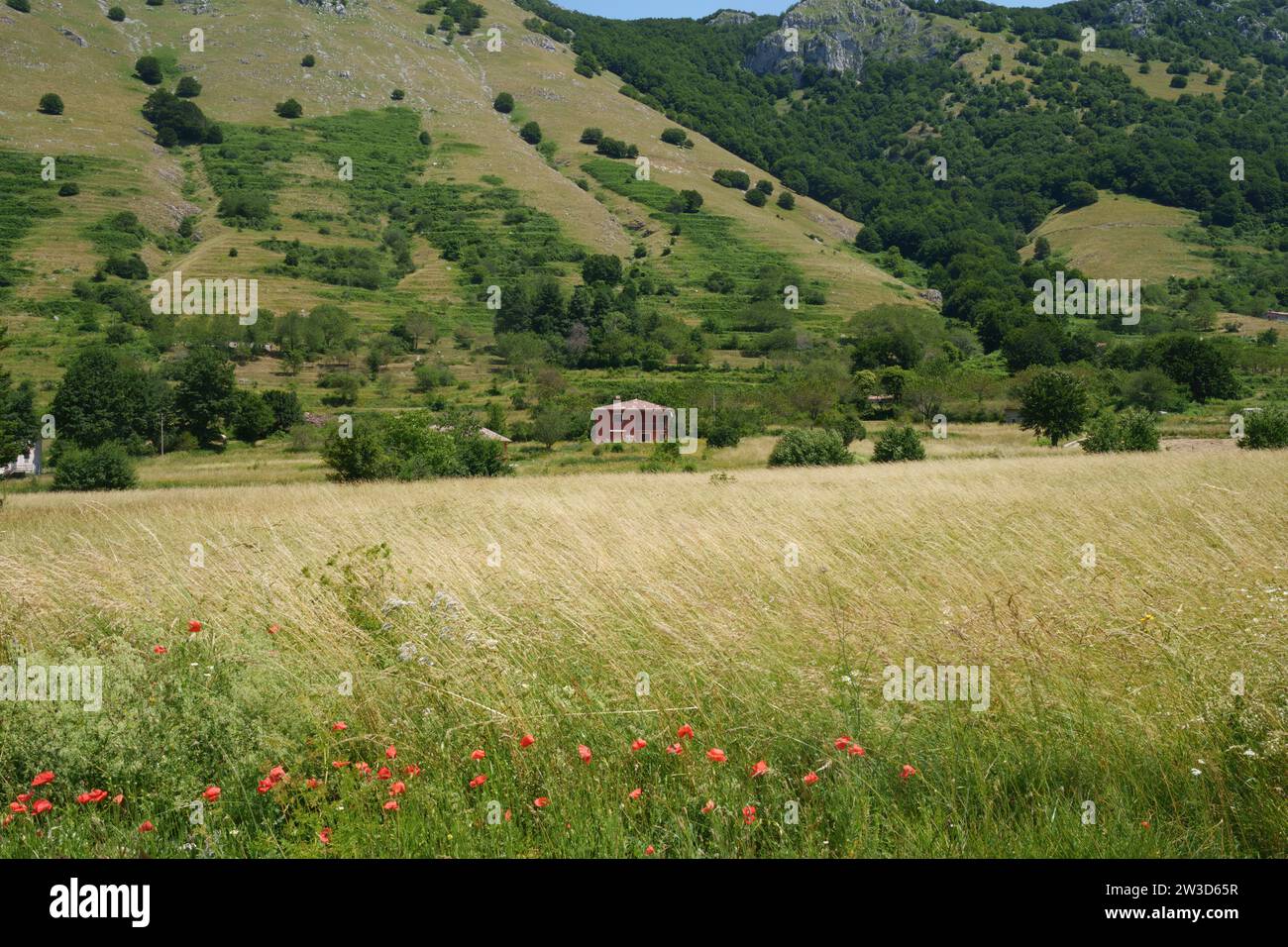 Berglandschaft von Matese, Provinz Caserta, Kampanien, Italien, im Sommer Stockfoto