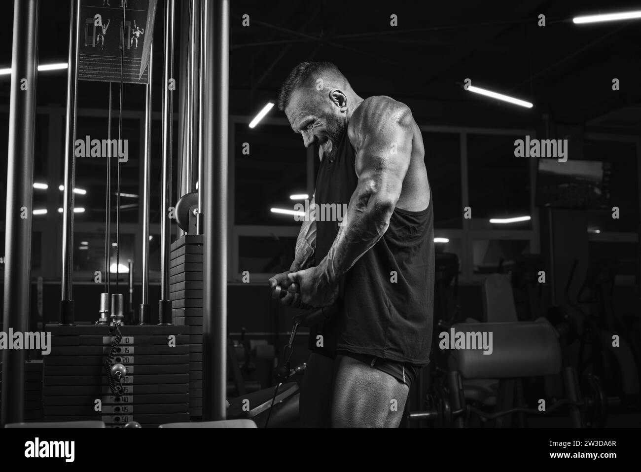 Bild eines leistungsstarken Athleten, der Gewichte im Fitnessstudio hebt. Schulterpumpen. Fitness- und Bodybuilding-Konzept. Gemischte Medien Stockfoto