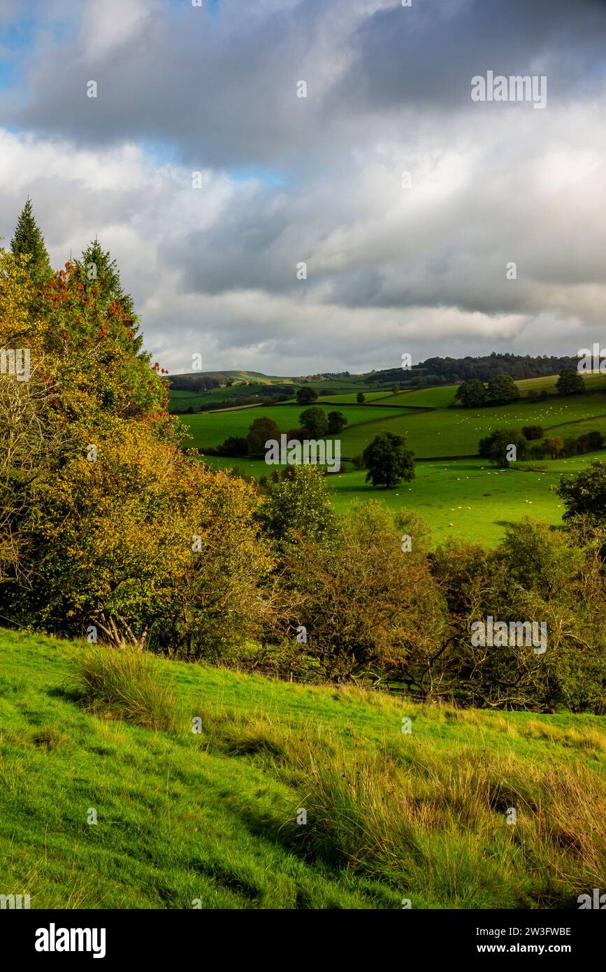 Blick auf Felder und Ackerland in der Nähe von Bollington in Cheshire England Großbritannien an der westlichen Grenze des Peak District. Stockfoto