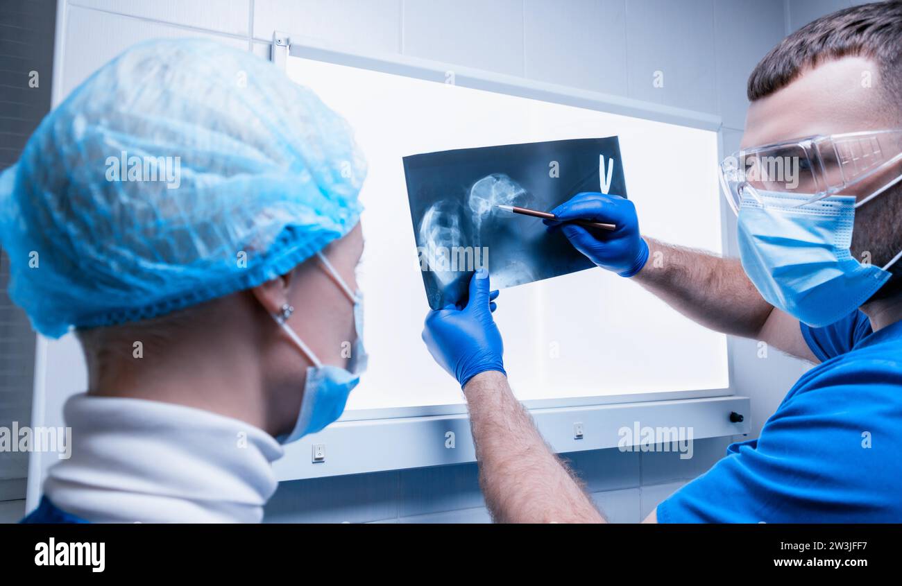 Ein Arzt und eine Krankenschwester stehen neben einem Negatoskop und untersuchen ein Röntgenbild eines verwundeten Tieres. Veterinärmedizinisches Konzept. Gemischte Medien Stockfoto