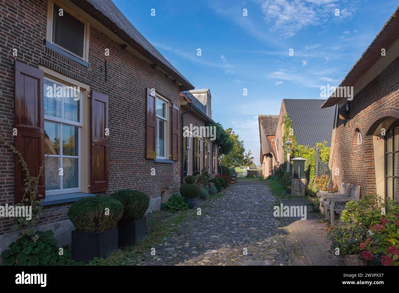 Straße mit Backsteinhäusern und Kopfsteinpflastersteinen in der kleinen Stadt Bronkhorst, Gemeinde Bronckhorst, Provinz Gelderland, Niederlande Stockfoto