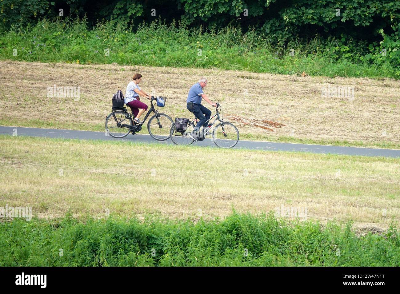 Ein älteres Ehepaar auf Fahrrädern fährt auf einem Radweg mitten auf einer gemähten Wiese Stockfoto