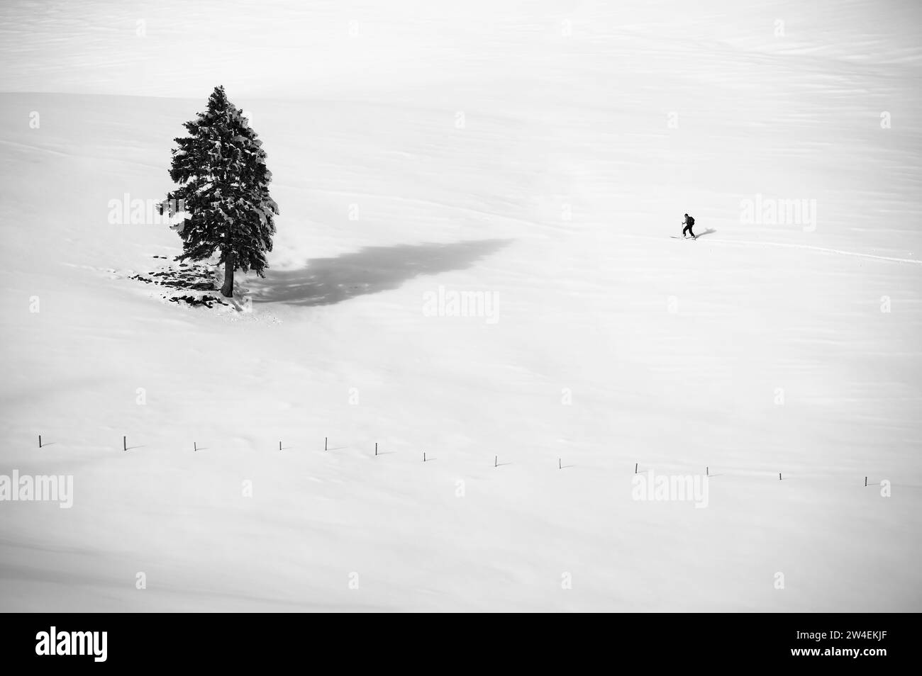 Einsamer Skitouren auf einer Skitour zum Wasserspitz bei Bodenschneid, Schnee, Neuhaus am Schliersee, Mangfallgebirge, Bayerische Voralpen, Oberbayern Stockfoto