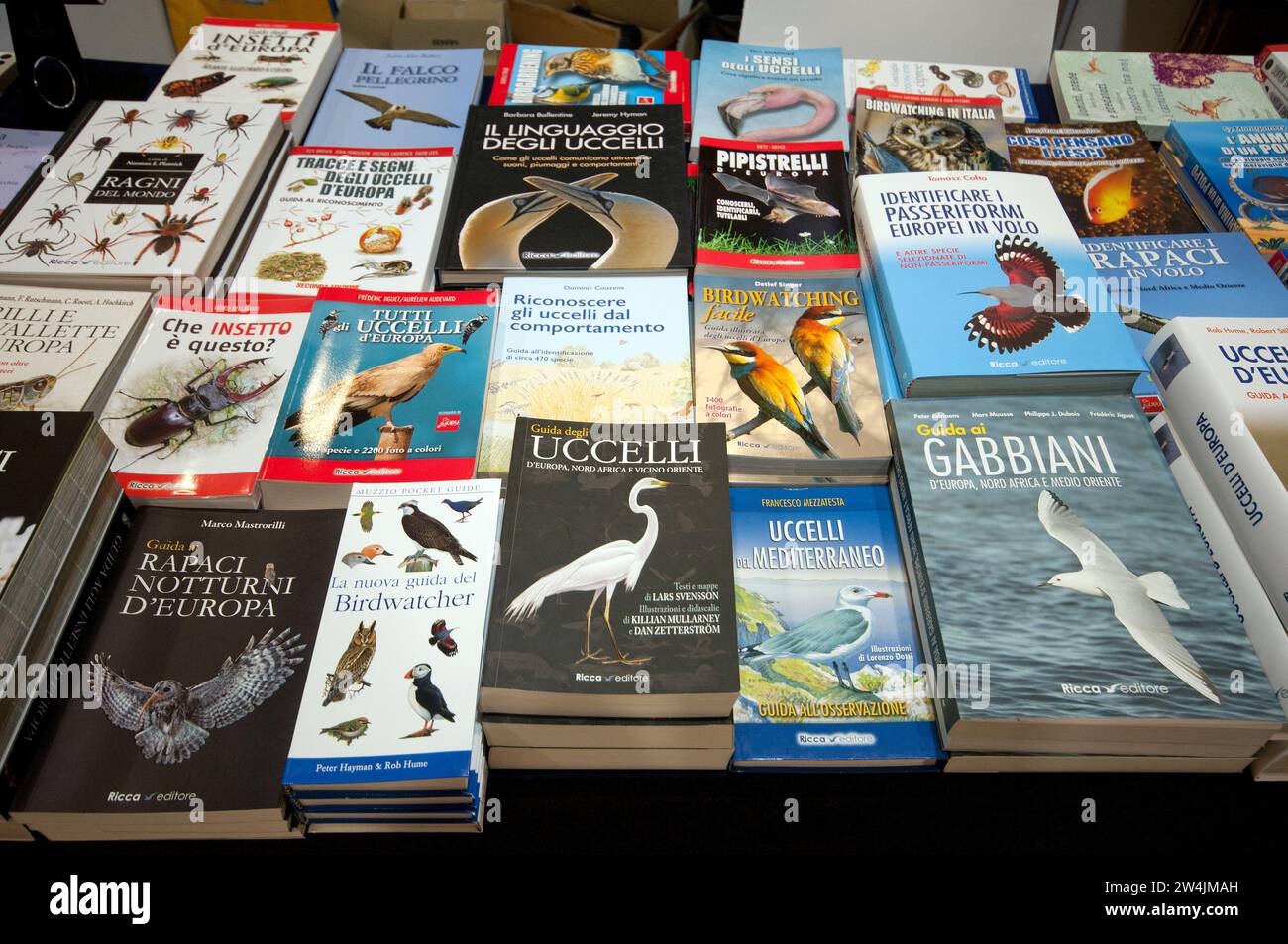 Wildtierbücher zum Verkauf in Rom, Italien Stockfoto