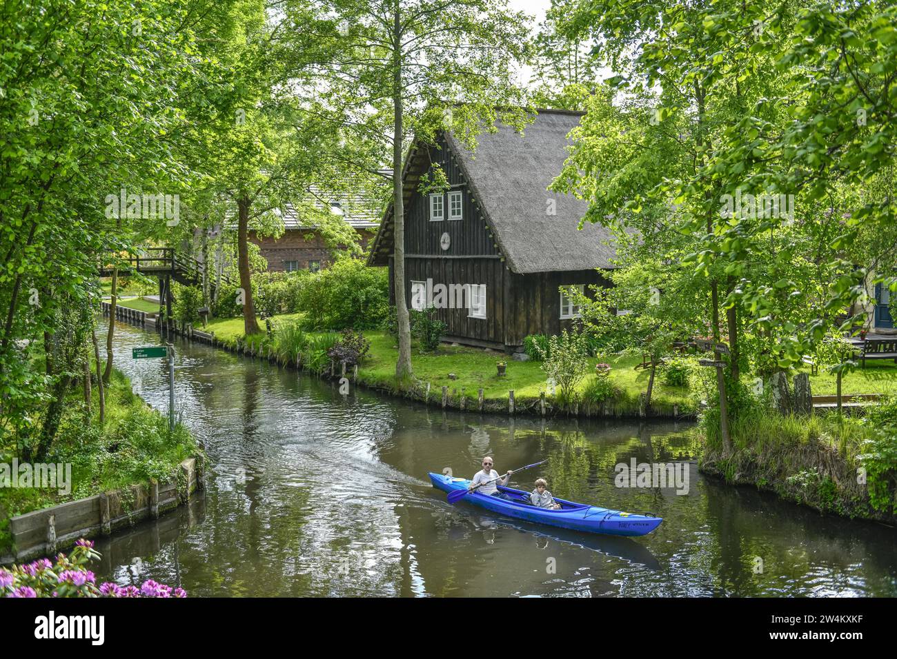 Paddelboot, lehder Fließ, Lehde, Lübbenau, Spreewald, Brandenburg, Deutschland Stockfoto