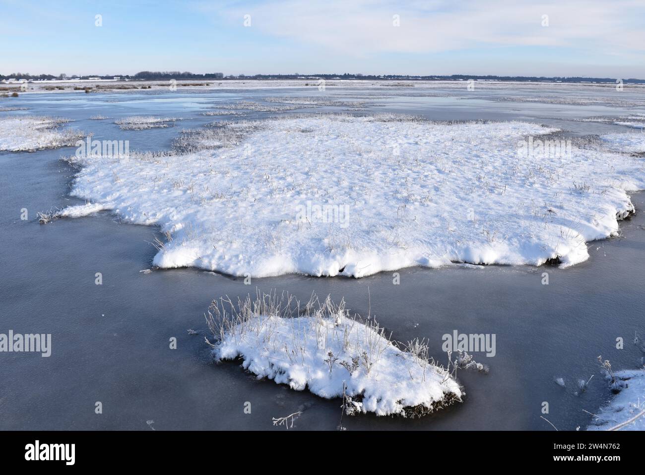 Schneebedeckte Salzwiesen in der Nähe von St. Peter-Ording, Schleswig-Holstein, Deutschland Stockfoto