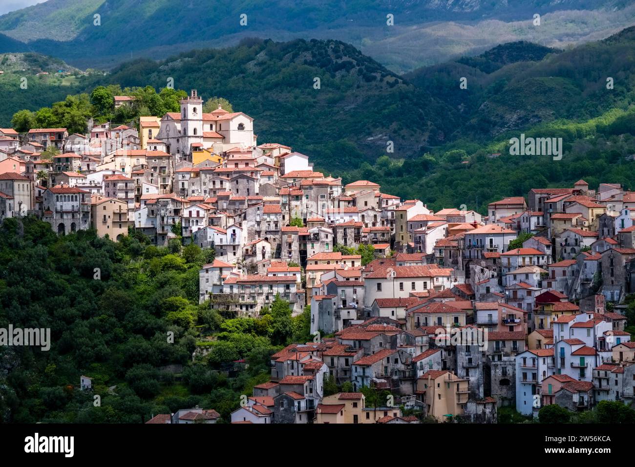Die kleine Stadt Rivello mit der Kirche Santa Maria del Poggio liegt malerisch auf dem Gipfel einer bewaldeten Hügellandschaft. Stockfoto