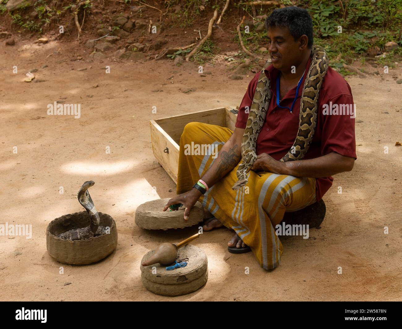 Schlangenbeschwörer mit Kobra im Korb und Schlange um den Hals, Sri Lanka Stockfoto