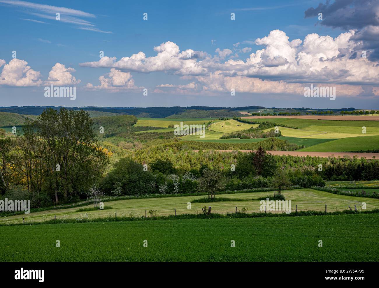 Frühlingsernte in Luxemburg - Wolken-Kollektion Stockfoto