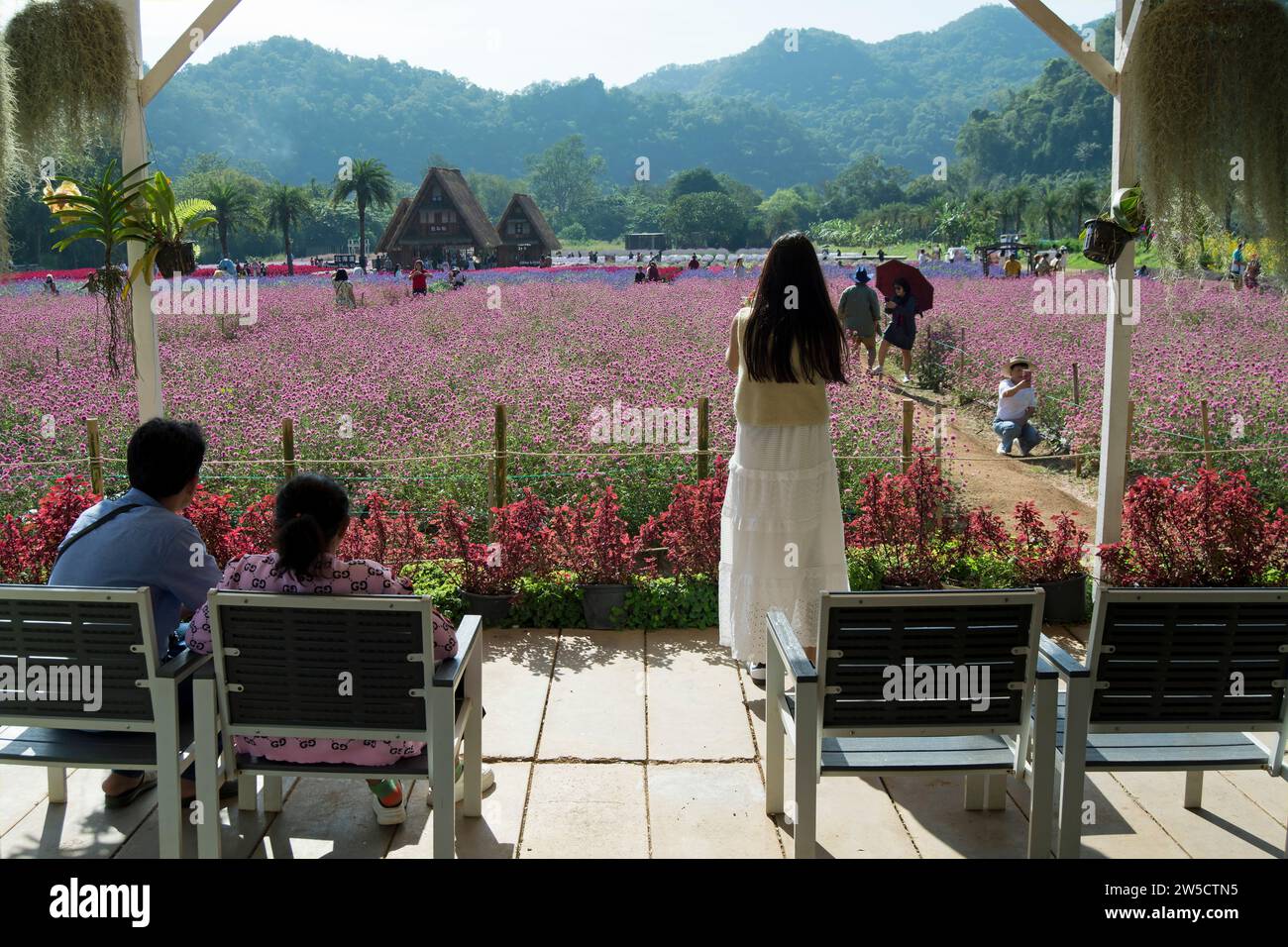 Besucher, einige sitzen im Schatten, andere machen Fotos zwischen den Blumen, im hokkaido Blumenpark, khao yai, thailand Stockfoto