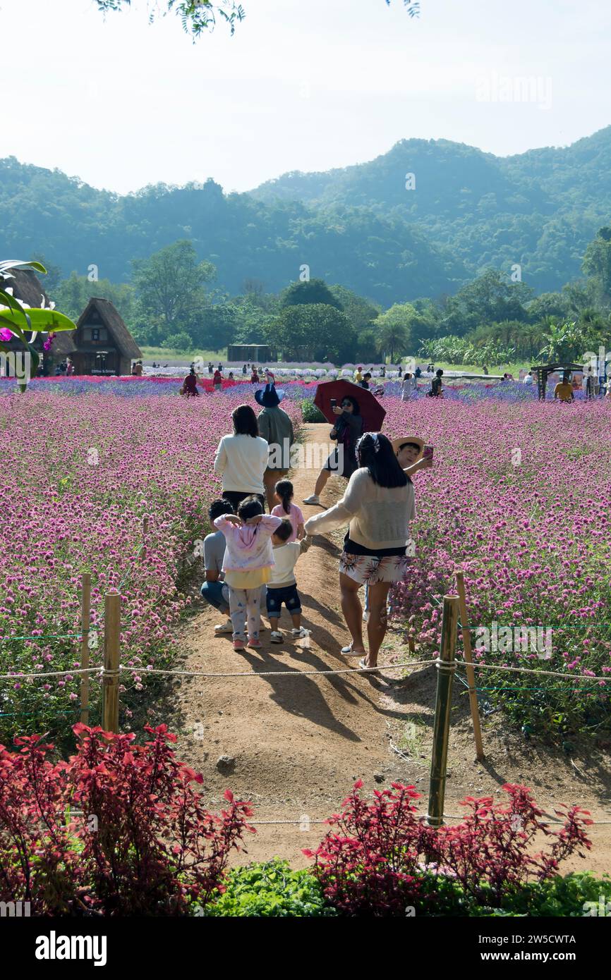 Besucher im hokkaido Blumenpark, khao yai, thailand, machen Fotos, während sie die Blumenreihen erkunden Stockfoto