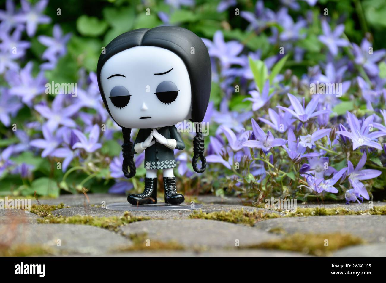 Funko Pop Actionfigur von Wednesday Addams aus dem Zeichentrickfilm The Addams Family. Blaue Blumen, grünes Moos, Steinstraße, geheimnisvoller Garten. Stockfoto