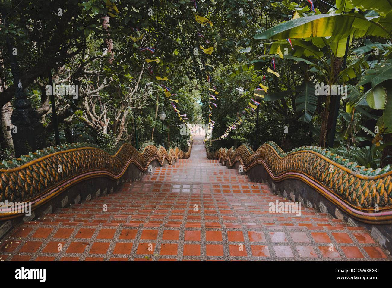 Hoher Winkel der Treppe mit dekorativen Geländern zwischen grünen tropischen Bäumen, die zum Wat Phra That Doi Suthep buddhistischen Tempel in Thailand führen Stockfoto