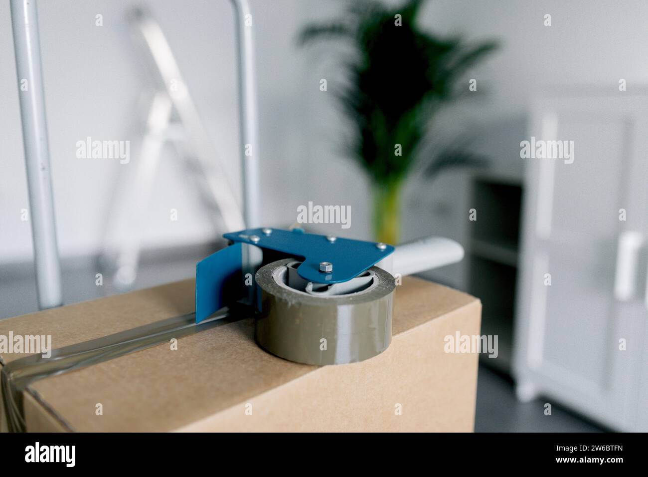 Großaufnahme des Verpackungsbandspenders auf Karton in einer neuen Wohnung mit weißen Wänden und einer Anlage, die das Konzept des Heimzugs repräsentiert Stockfoto
