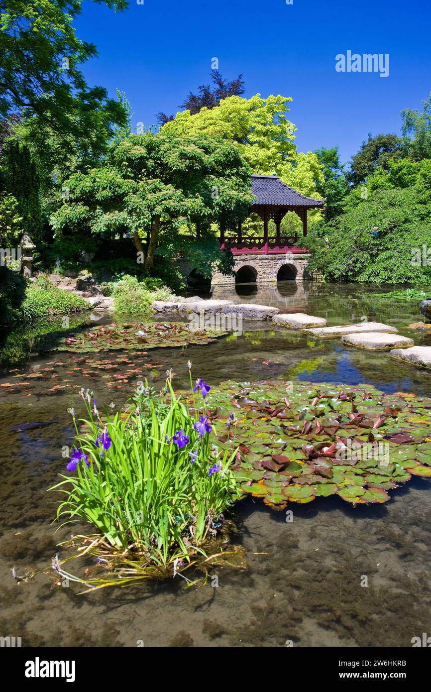 Japanischer Garten, Leverkusen, Nordrhein-Westfalen, Deutschland, Europa Stockfoto