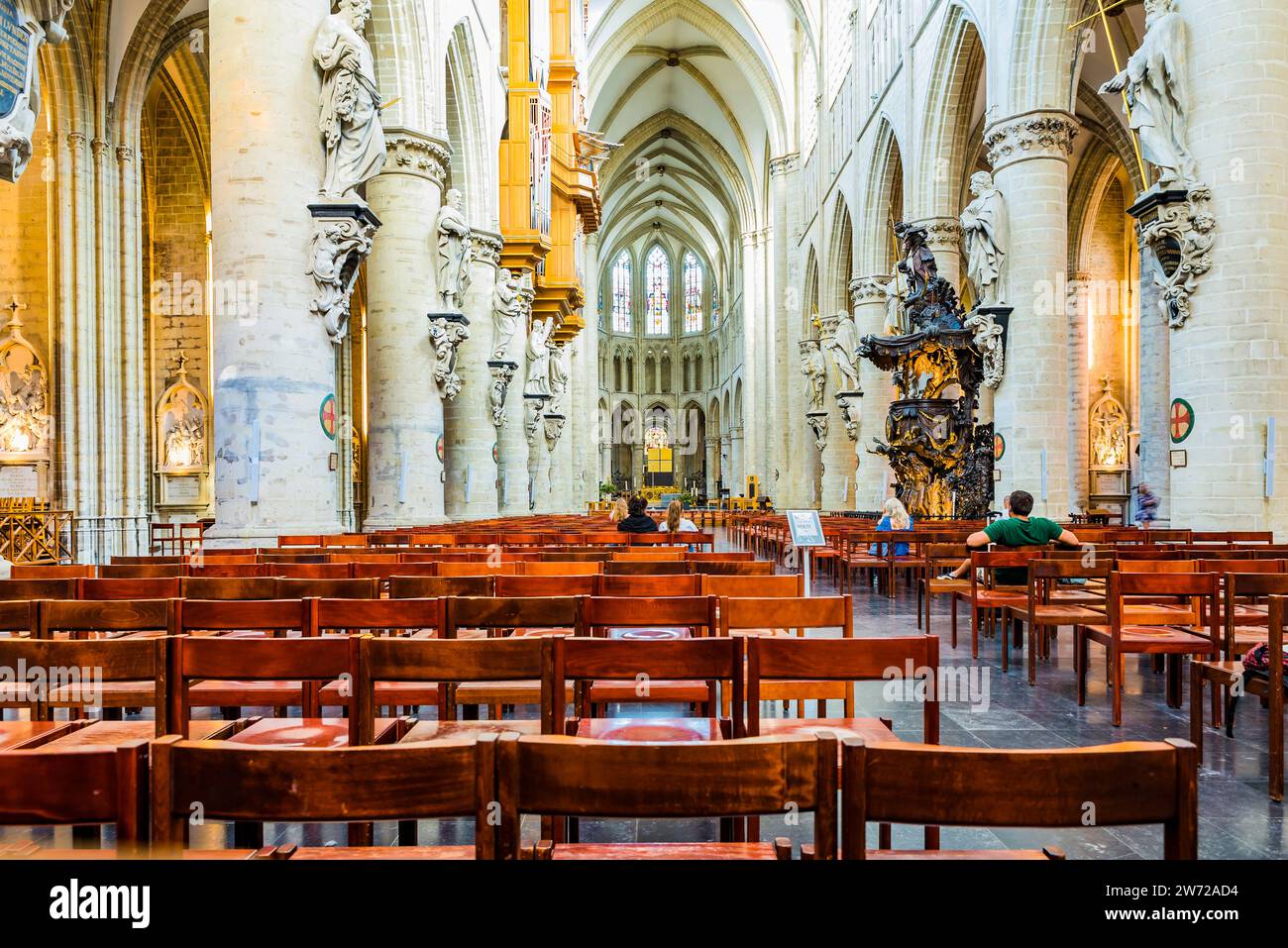 Das Schiff ist mit zylindrischen Säulen gesäumt, die die zwölf Statuen der Apostel tragen. Die Kathedrale von St. Michael und St. Gudula verkürzte gewöhnlich t Stockfoto