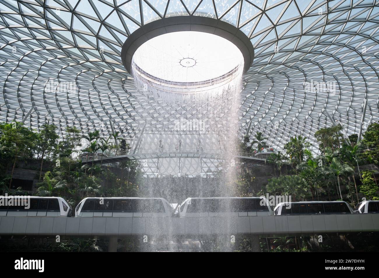 31.07.2023, Singapur, Singapur, - zwei Züge des vollautomatischen Skytrain fahren mit dem Rain V durch den Garten des Shiseido Forest Valley Stockfoto