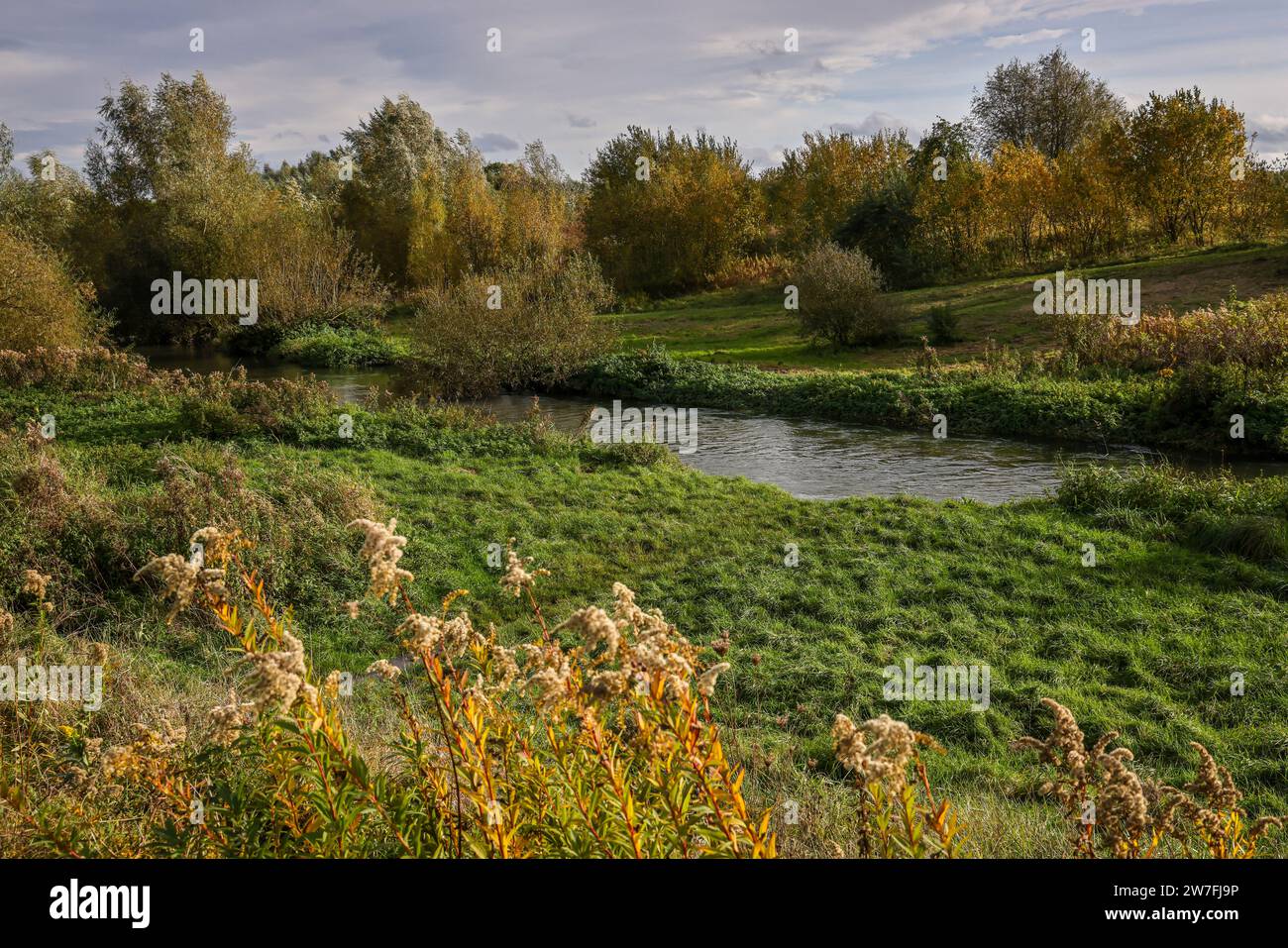 01.11.2023, Deutschland, Bergkamen, Nordrhein-Westfalen - Herbstlandschaft an der Seseke. Die renaturierte Seseke, ein Nebenfluss der Lippe, ist bereits heute Stockfoto