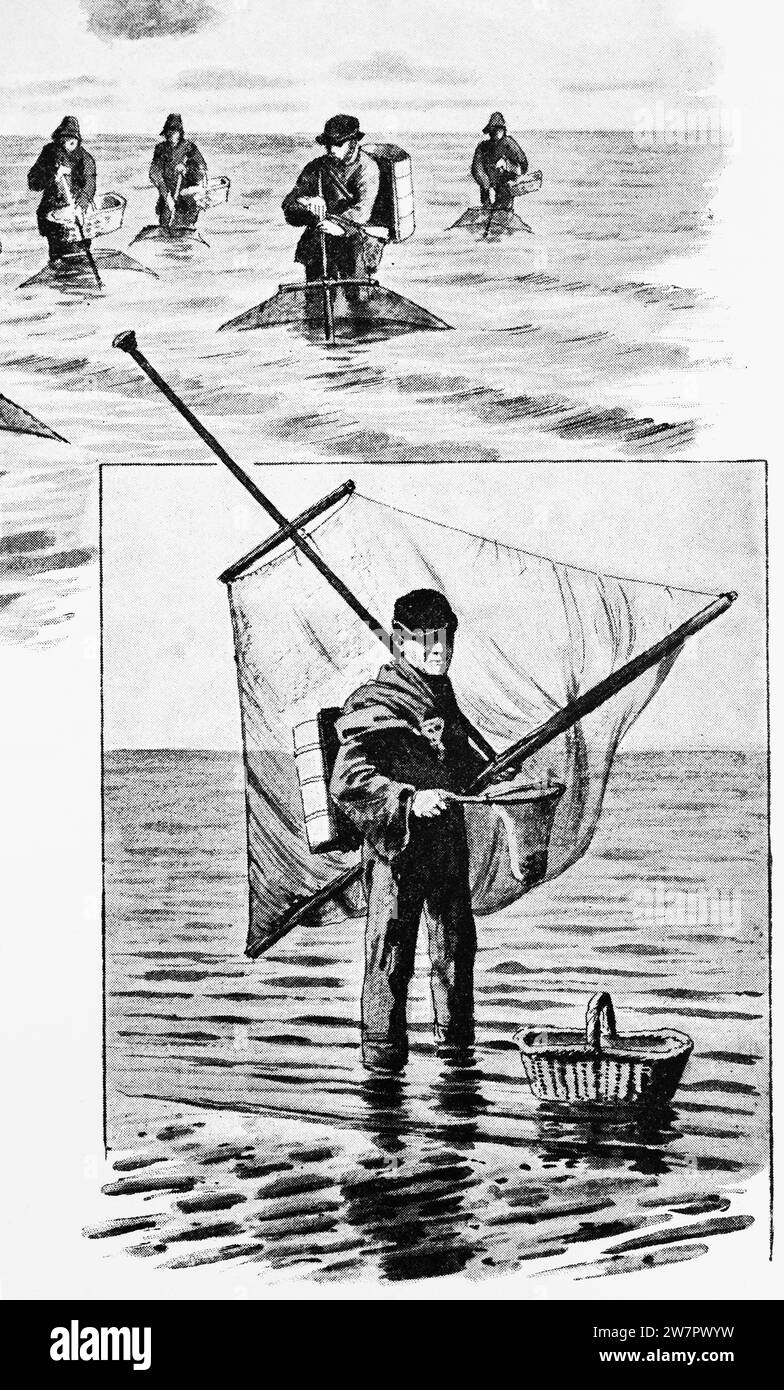 Garnelenfischerei per Hand in der Nordsee, Schleswig-Holstein, Norddeutschland, Mitteleuropa, histrorische Abbildung 1896 Stockfoto