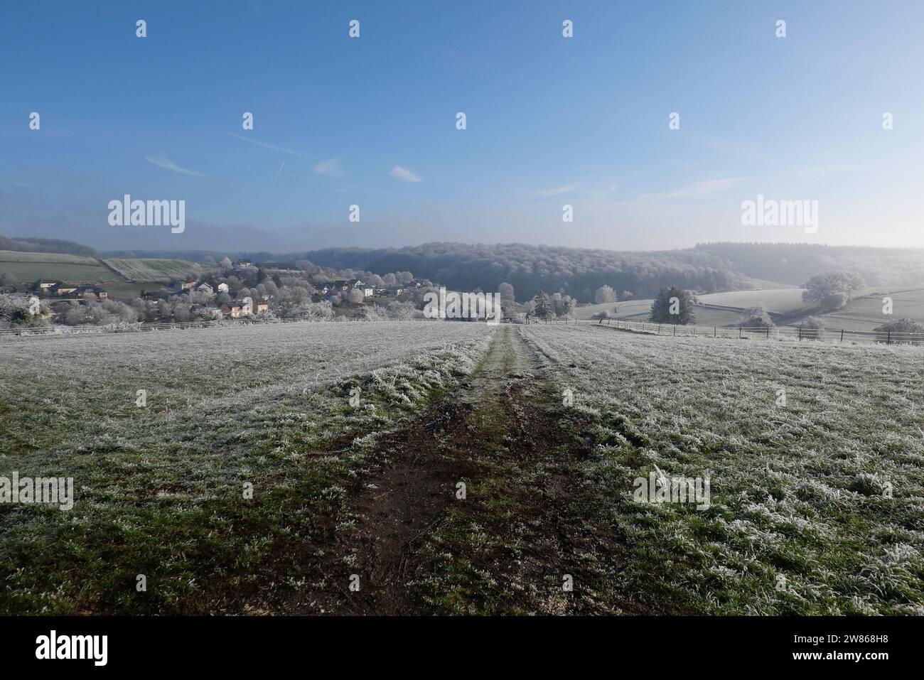 Frozen Morning - nördlich von Luxemburg Stockfoto