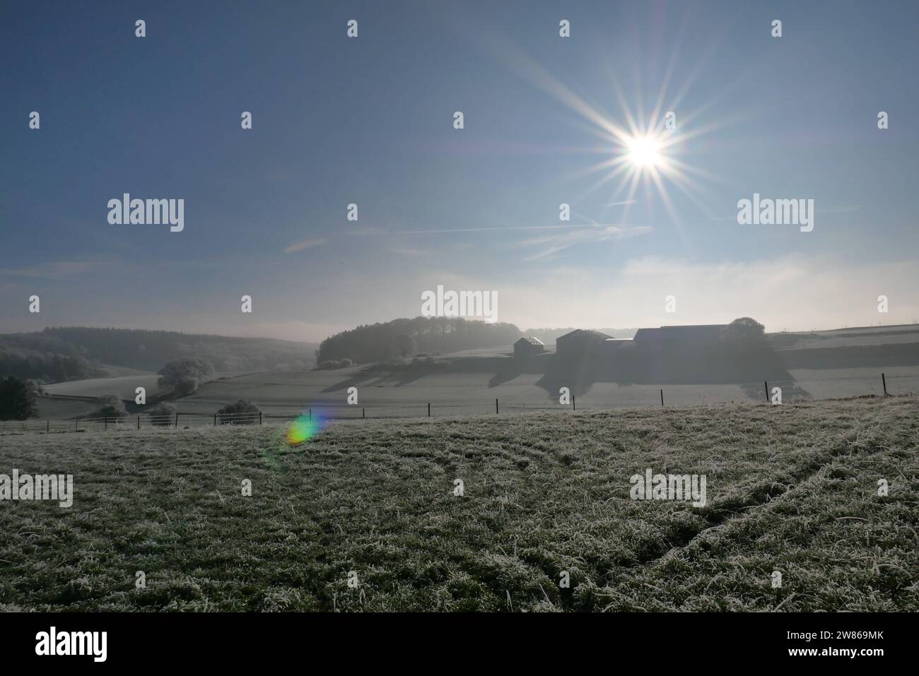 Frozen Morning - nördlich von Luxemburg Stockfoto