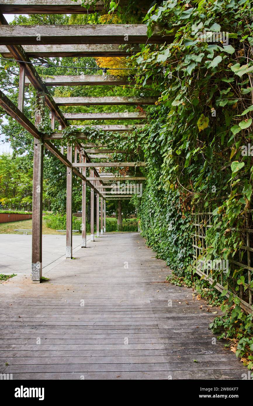 Pergola mit Efeu Stockfotografie - Alamy