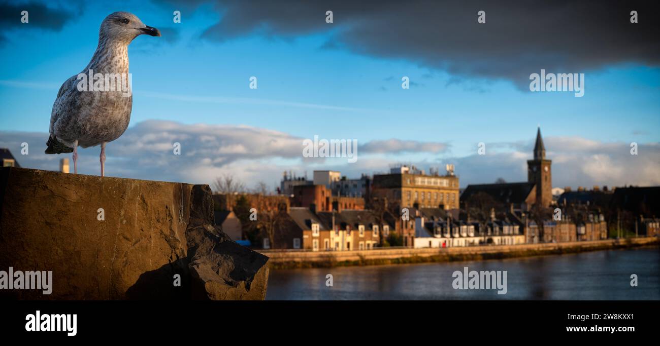 Ein Bewohner von inverness bewundert die Szene über dem Fluss Ness, während die Stadt in goldener Nachmittagssonne getaucht wird. Stockfoto