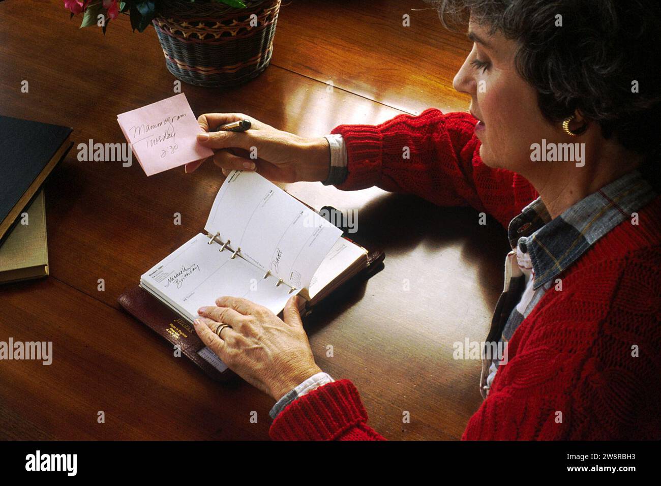 Frau, die sich ein Terminbuch anschaut. Stockfoto