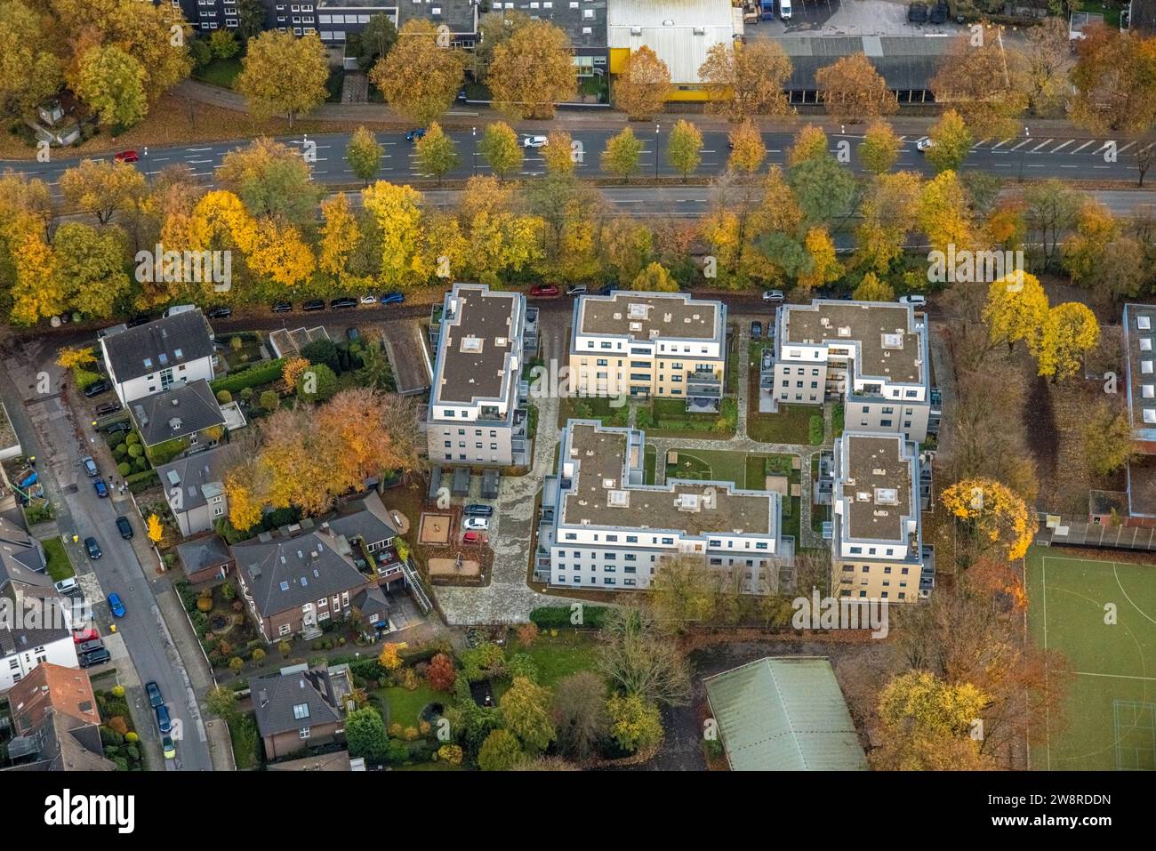 Luftaufnahme, Mehrfamilienhaus Breddestraße, umgeben von herbstlichen Laubbäumen, Buer, Gelsenkirchen, Ruhrgebiet, Nordrhein-Westfalen, Stockfoto