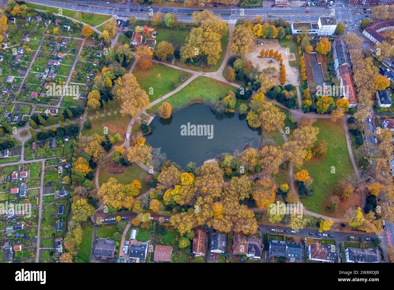 Blick aus der Vogelperspektive, Bulmker Park mit See beim Kleingartenverband Bulmker-Erlenkamp e.V., umgeben von herbstlichen Laubbäumen, Bulmke-Hüllen, Stockfoto